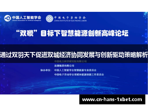 通过双羽天下促进双城经济协同发展与创新驱动策略解析
